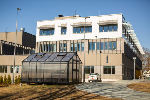 Kasvuhoone